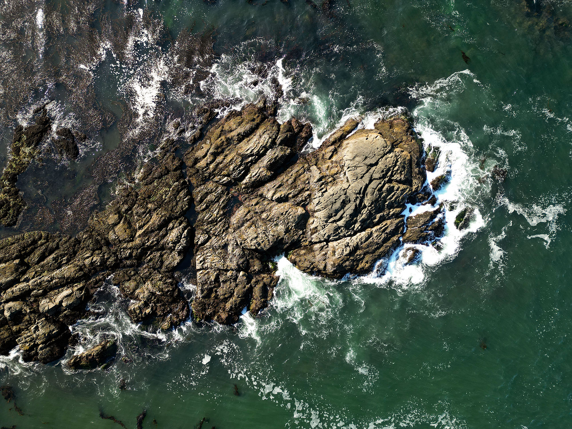 Wild Pacific trail